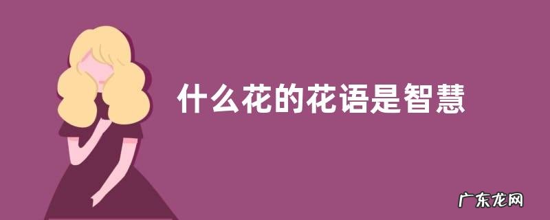 什么花的花语是智慧