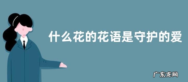什么花的花语是守护的爱