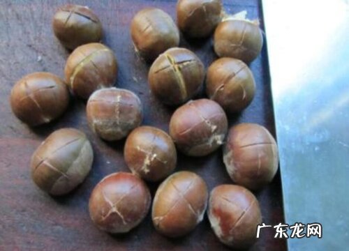 板栗哪个品种好