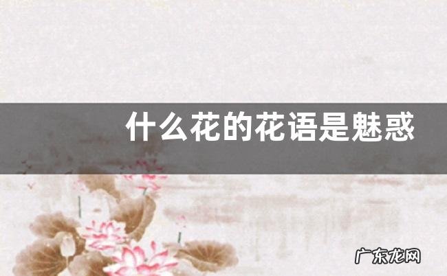 什么花的花语是魅惑