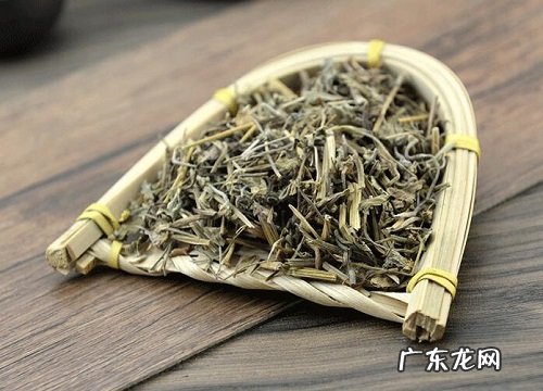 牛筋草是什么植物