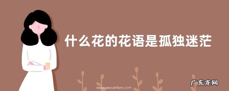 什么花的花语是孤独迷茫