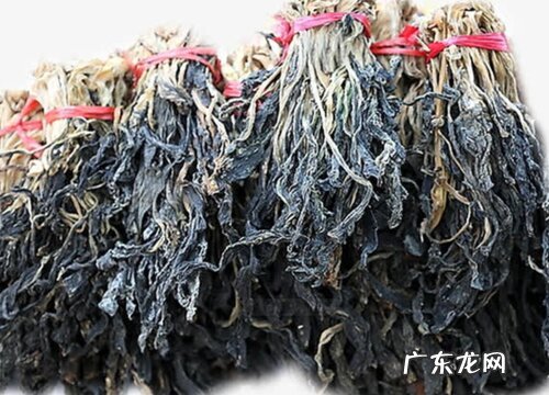 梅干菜是什么植物的叶子