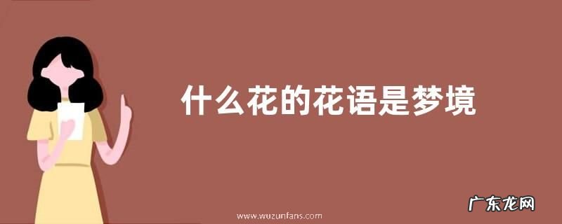 什么花的花语是梦境