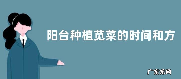 阳台种植苋菜的时间和方法