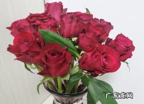 67朵玫瑰花花语代表什么意思