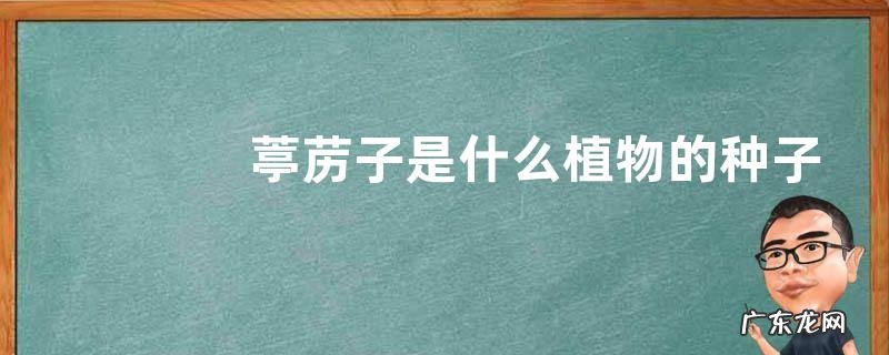 葶苈子是什么植物的种子