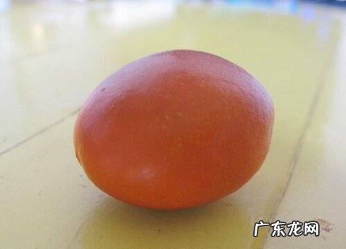 铁树果子可以做种子吗