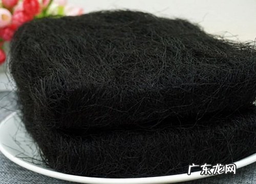 发菜产地在哪里