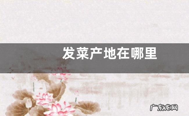 发菜产地在哪里