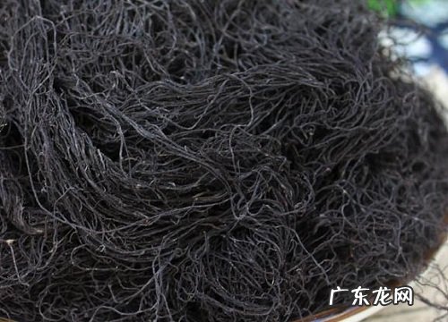 发菜产地在哪里