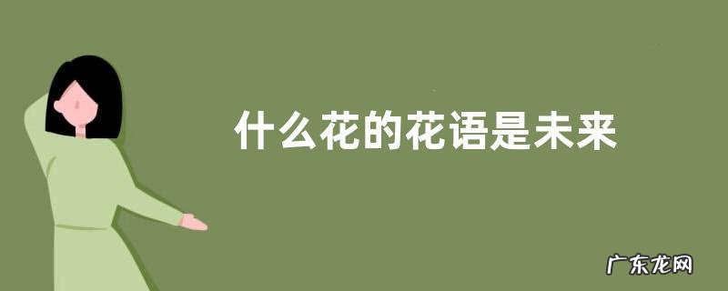 什么花的花语是未来