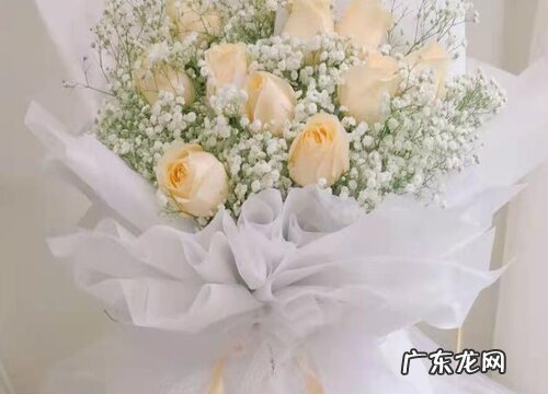 香槟色玫瑰花代表什么意思