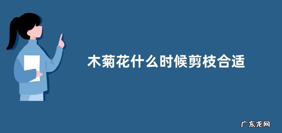 木菊花什么时候剪枝合适