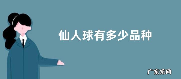 仙人球有多少品种