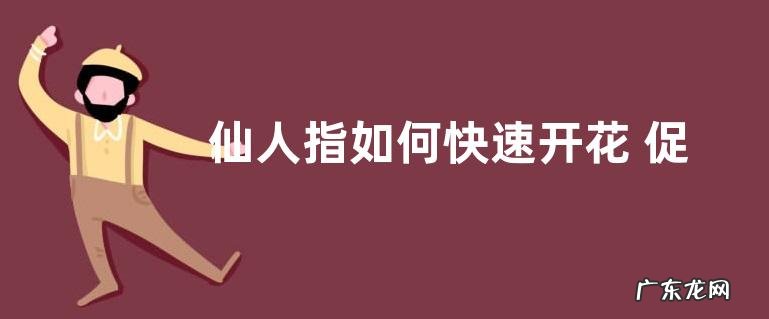仙人指如何快速开花 促进仙人指开花方法