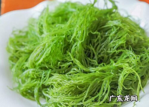 龙须菜产地在哪里