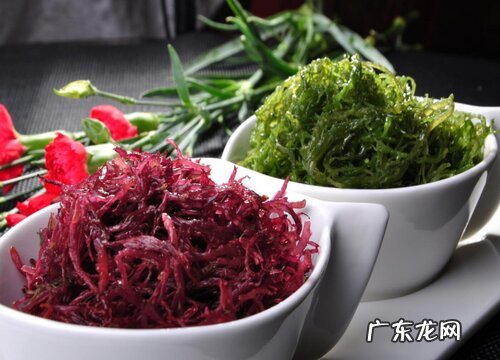 龙须菜产地在哪里