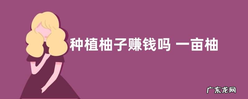 种植柚子赚钱吗 一亩柚子多少利润