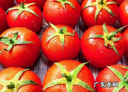 番茄果实类型