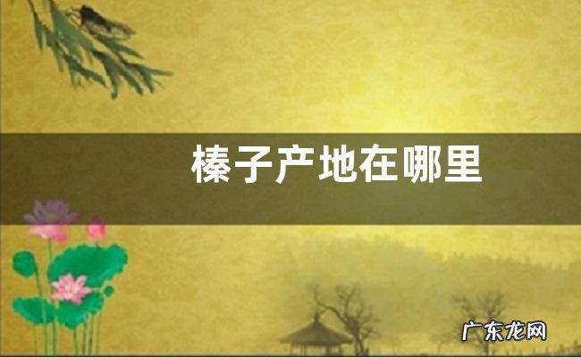 榛子产地在哪里