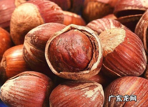 榛子产地在哪里