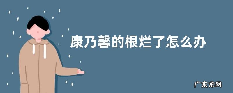 康乃馨的根烂了怎么办