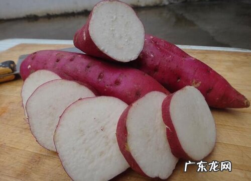 番薯是块根还是块茎