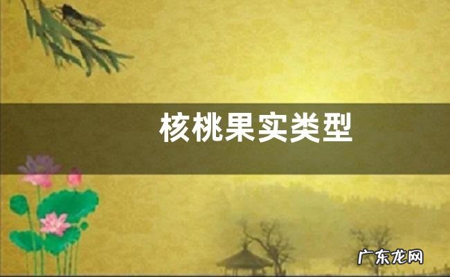 核桃果实类型