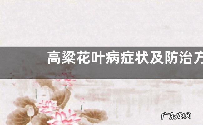 高粱花叶病症状及防治方法