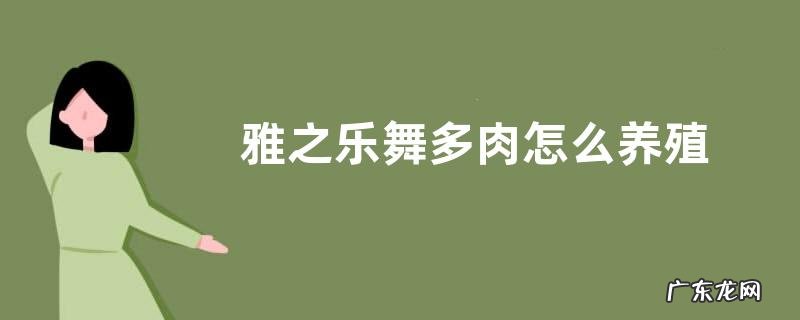 雅之乐舞多肉怎么养殖