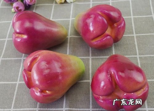 马来西亚的水果有哪些