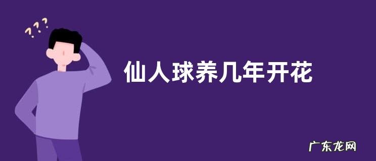 仙人球养几年开花