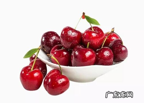 智利樱桃是什么季节的水果