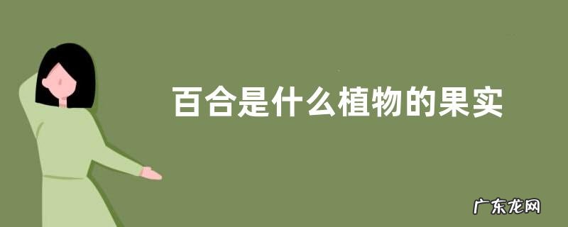 百合是什么植物的果实