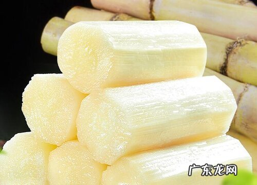 广西甘蔗产地在哪里