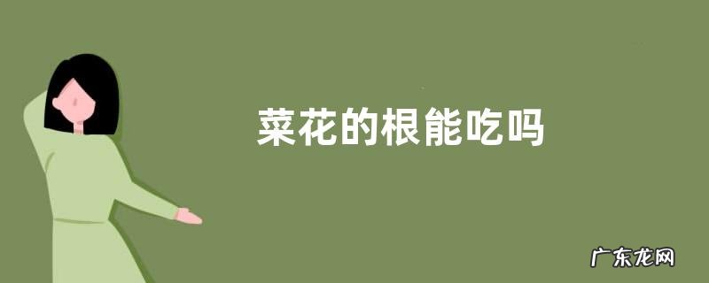 菜花的根能吃吗