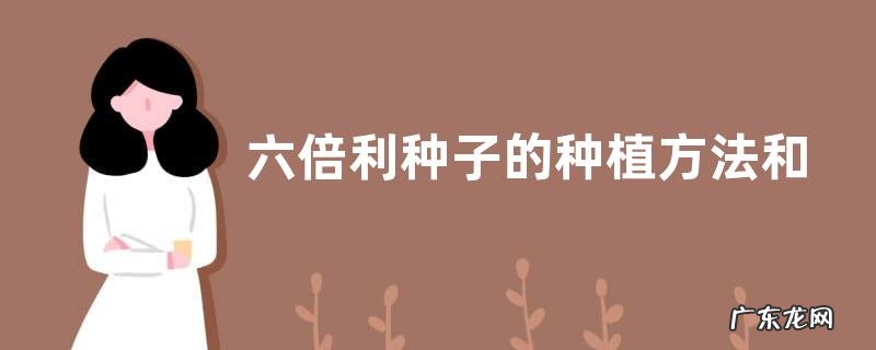 六倍利种子的种植方法和时间 适合什么时候播种