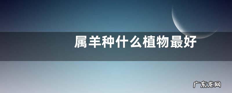 属羊种什么植物最好