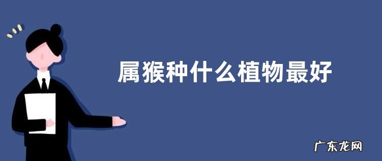 属猴种什么植物最好