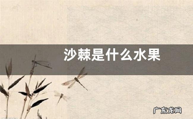 沙棘是什么水果