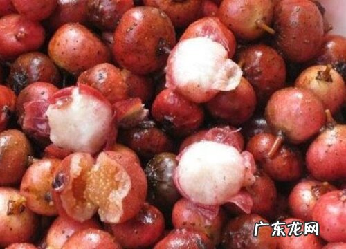 地果是什么水果