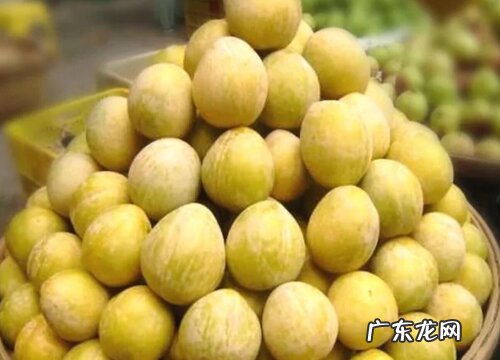 奈李是什么水果