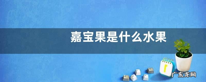 嘉宝果是什么水果