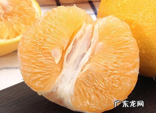 葡萄柚是什么水果