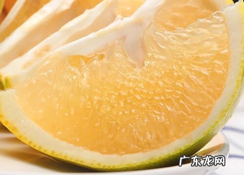 葡萄柚是什么水果