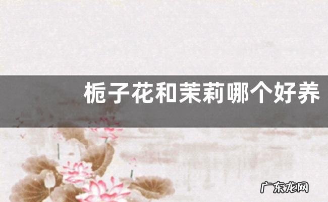 栀子花和茉莉哪个好养