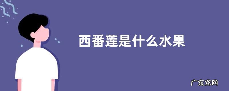 西番莲是什么水果