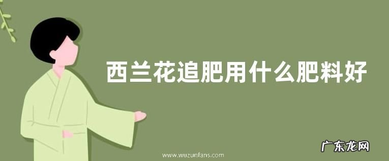 西兰花追肥用什么肥料好