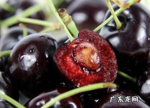 黑珍珠是什么水果